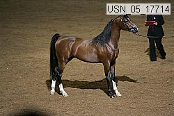 usn_05_17714 proof