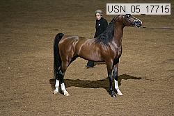 usn_05_17715 proof