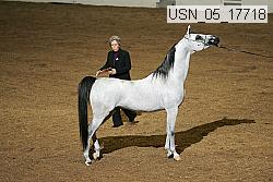usn_05_17718 proof
