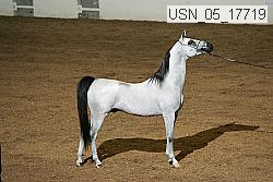 usn_05_17719 proof