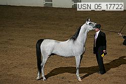 usn_05_17722 proof