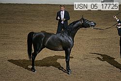 usn_05_17725 proof