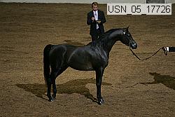 usn_05_17726 proof