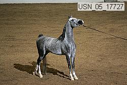 usn_05_17727 proof