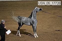 usn_05_17728 proof