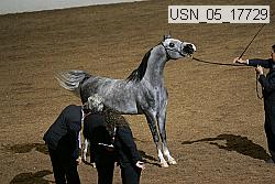 usn_05_17729 proof