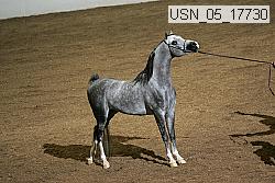 usn_05_17730 proof