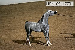 usn_05_17731 proof