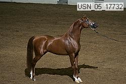 usn_05_17732 proof