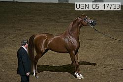 usn_05_17733 proof