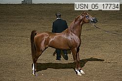 usn_05_17734 proof