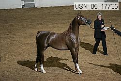 usn_05_17735 proof