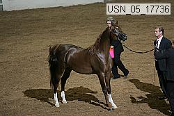 usn_05_17736 proof