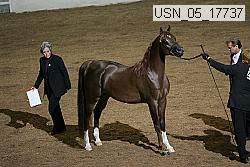 usn_05_17737 proof