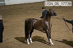 usn_05_17738 proof