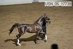 usn_05_17739 proof