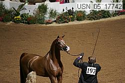 usn_05_17742 proof