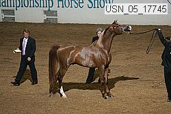 usn_05_17745 proof