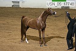 usn_05_17748 proof