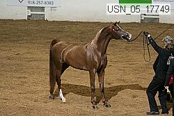 usn_05_17749 proof