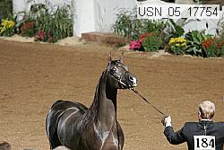 usn_05_17754 proof