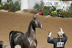 usn_05_17755 proof