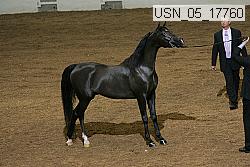 usn_05_17760 proof