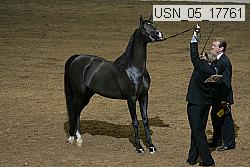 usn_05_17761 proof