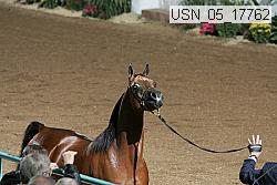 usn_05_17762 proof