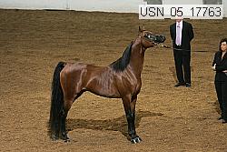 usn_05_17763 proof