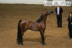 usn_05_17764 proof