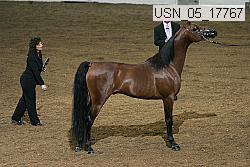 usn_05_17767 proof