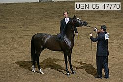 usn_05_17770 proof