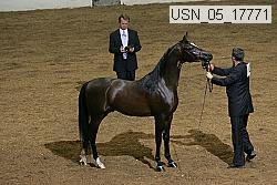 usn_05_17771 proof