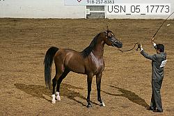 usn_05_17773 proof