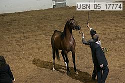 usn_05_17774 proof