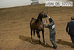 usn_05_17775 proof