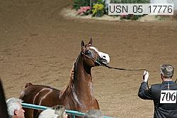 usn_05_17776 proof