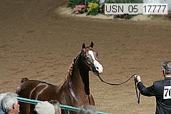 usn_05_17777 proof