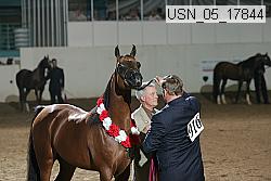 usn_05_17844 proof