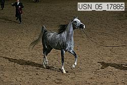 usn_05_17885 proof