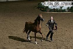 usn_05_17886 proof
