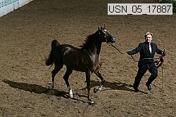 usn_05_17887 proof