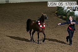 usn_05_17889 proof