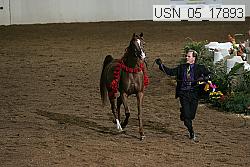 usn_05_17893 proof