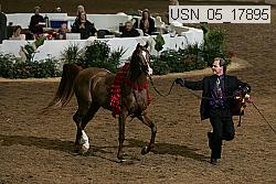usn_05_17895 proof