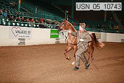 usn_05_10743 proof