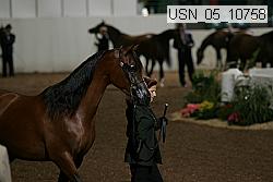 usn_05_10758 proof