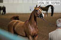 usn_05_10769 proof
