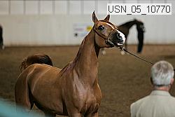 usn_05_10770 proof